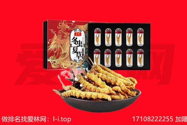 湛江市徐闻回收虫草.jpg